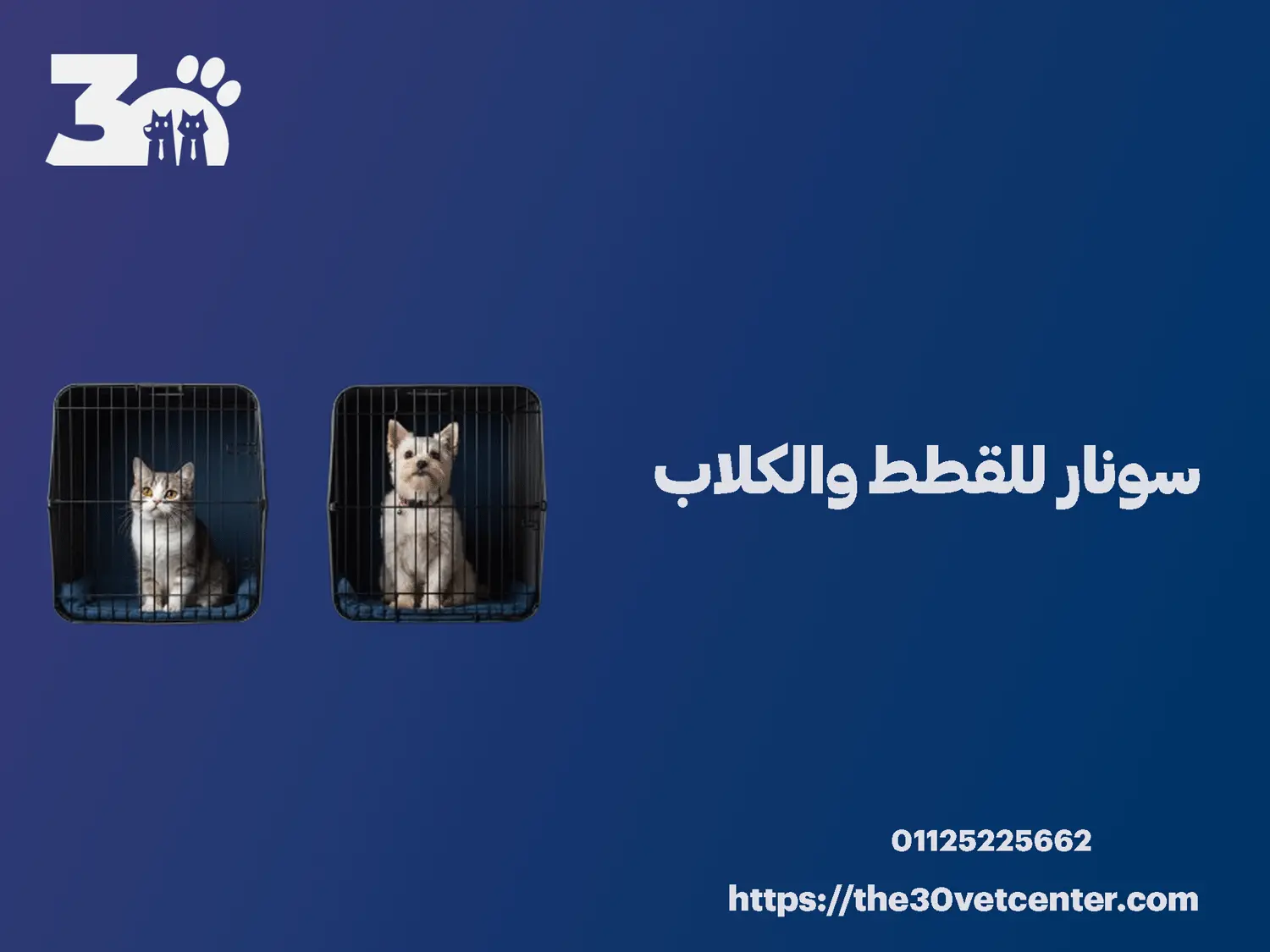 سونار للقطط والكلاب