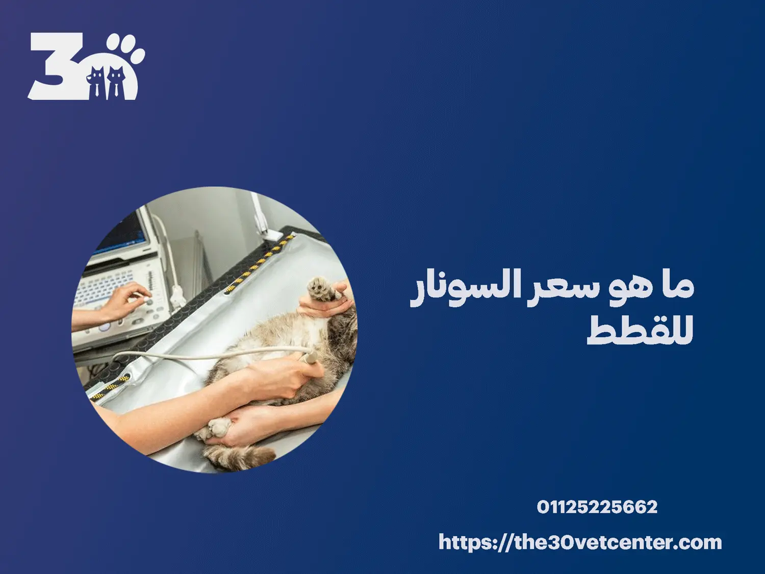 ما هو سعر السونار للقطط
