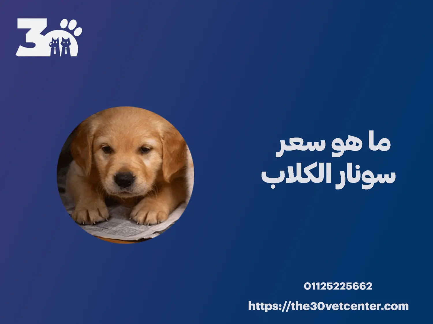 ما هو سعر سونار الكلاب