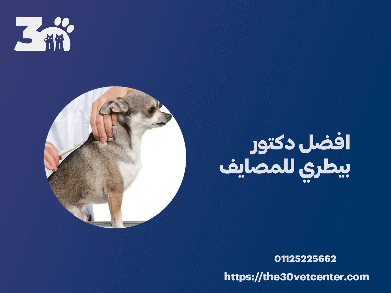 افضل دكتور بيطري للمصايف