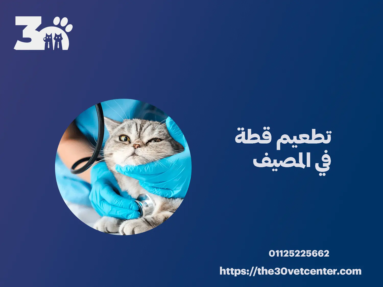 تطعيم قطة في المصيف