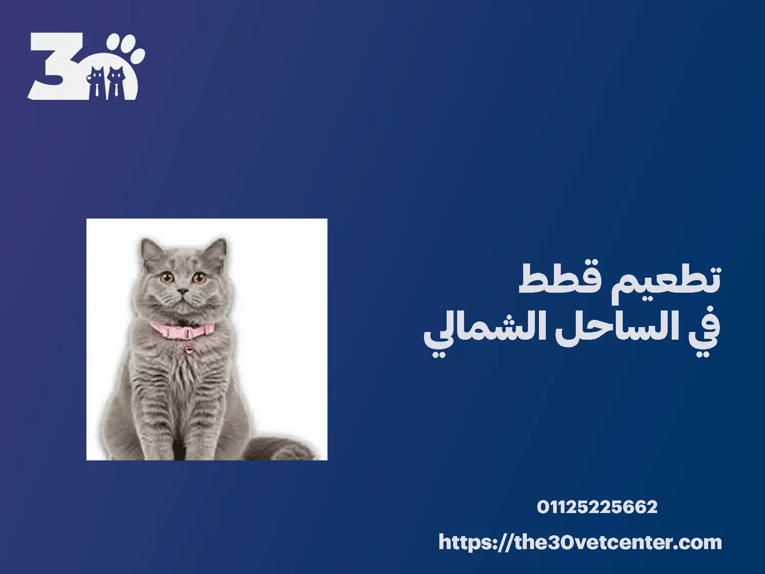 تطعيم قطط في الساحل الشمالي