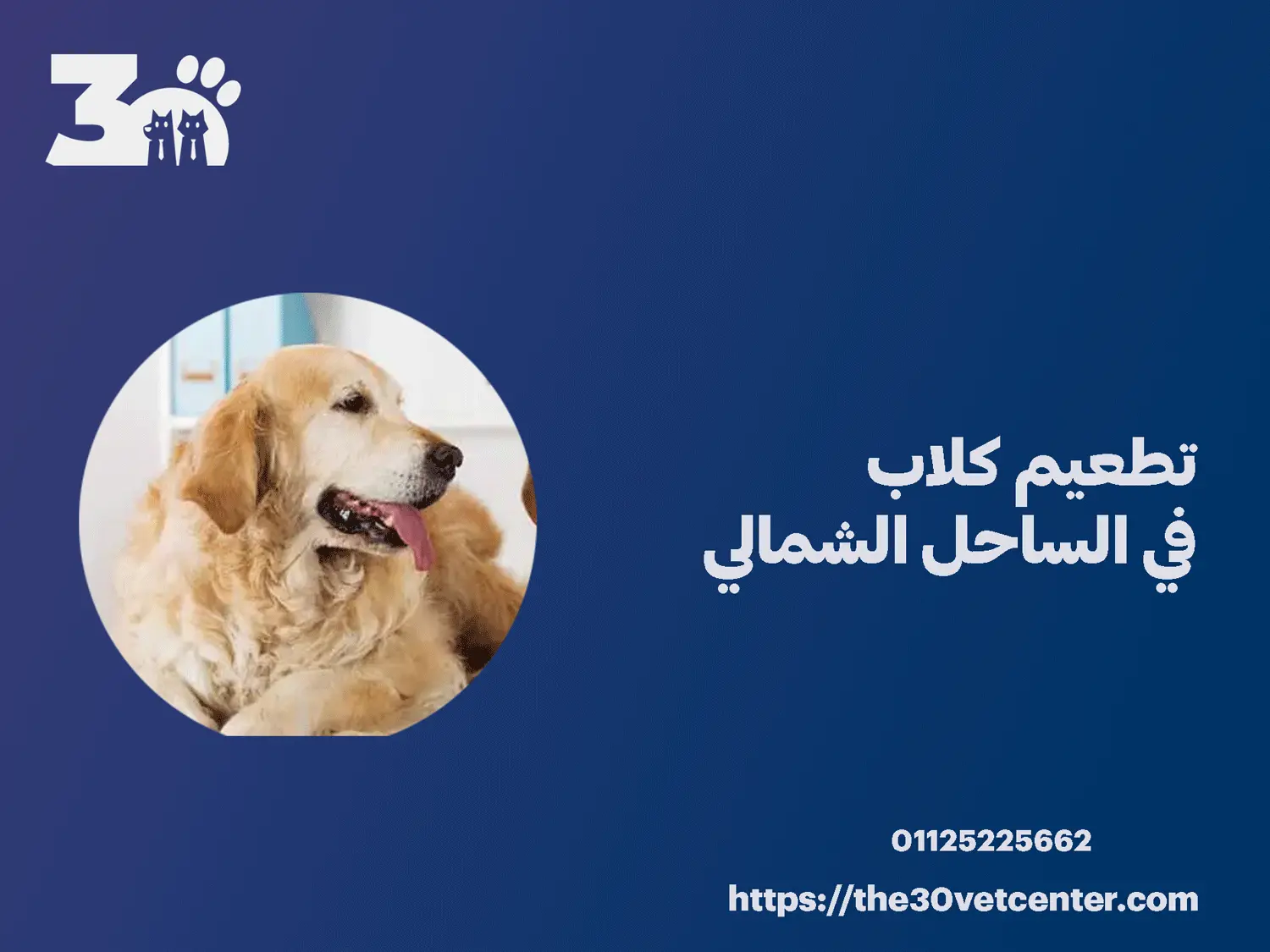 تطعيم كلاب في الساحل الشمالي