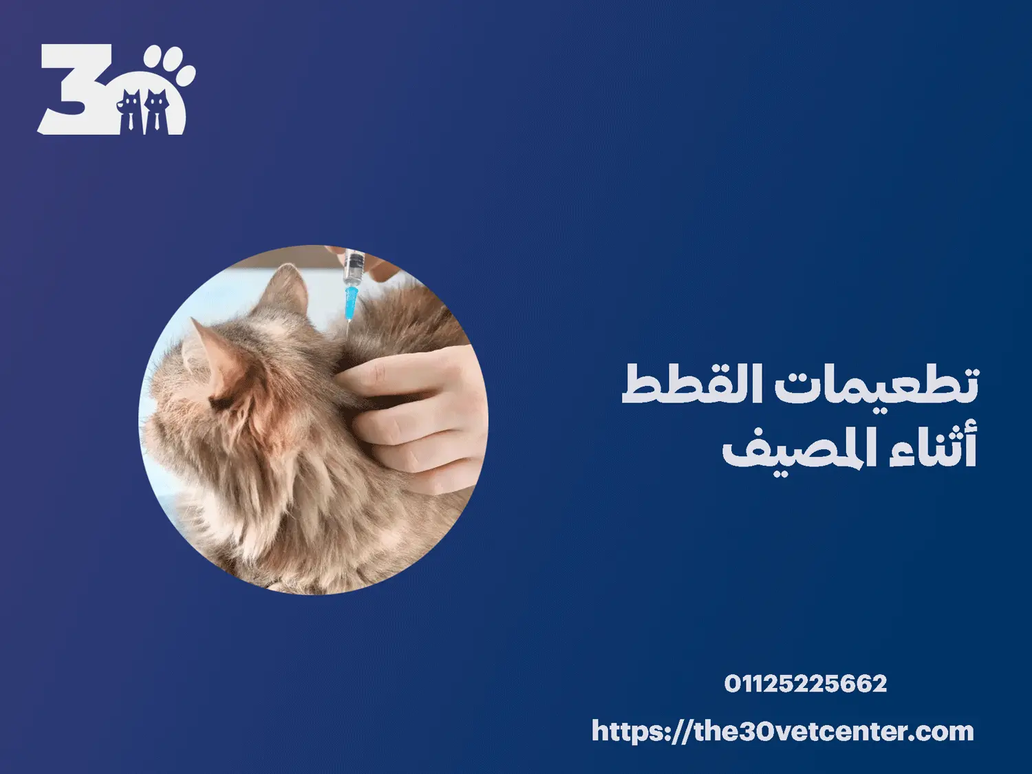 تطعيمات القطط أثناء المصيف