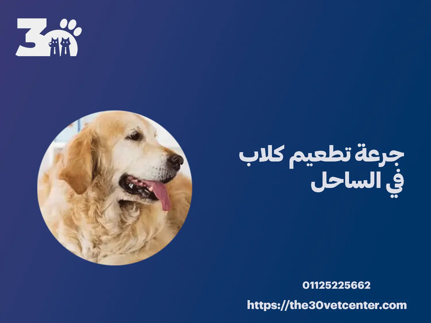 جرعة تطعيم كلاب في الساحل