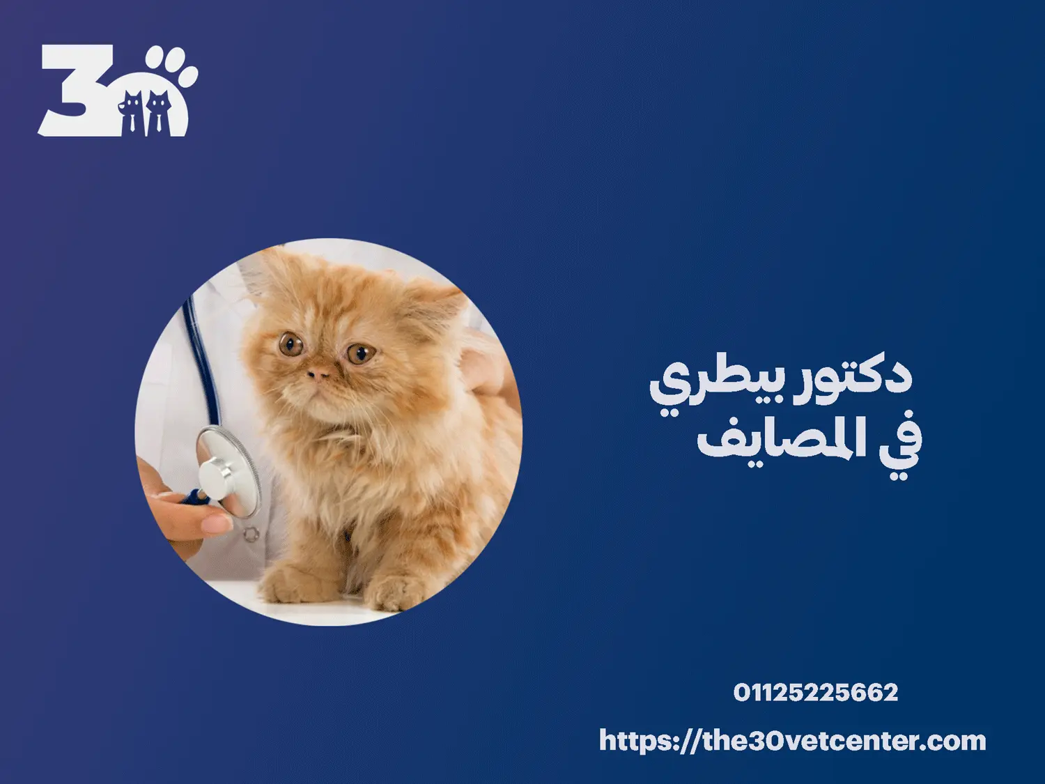 دكتور بيطري في المصايف