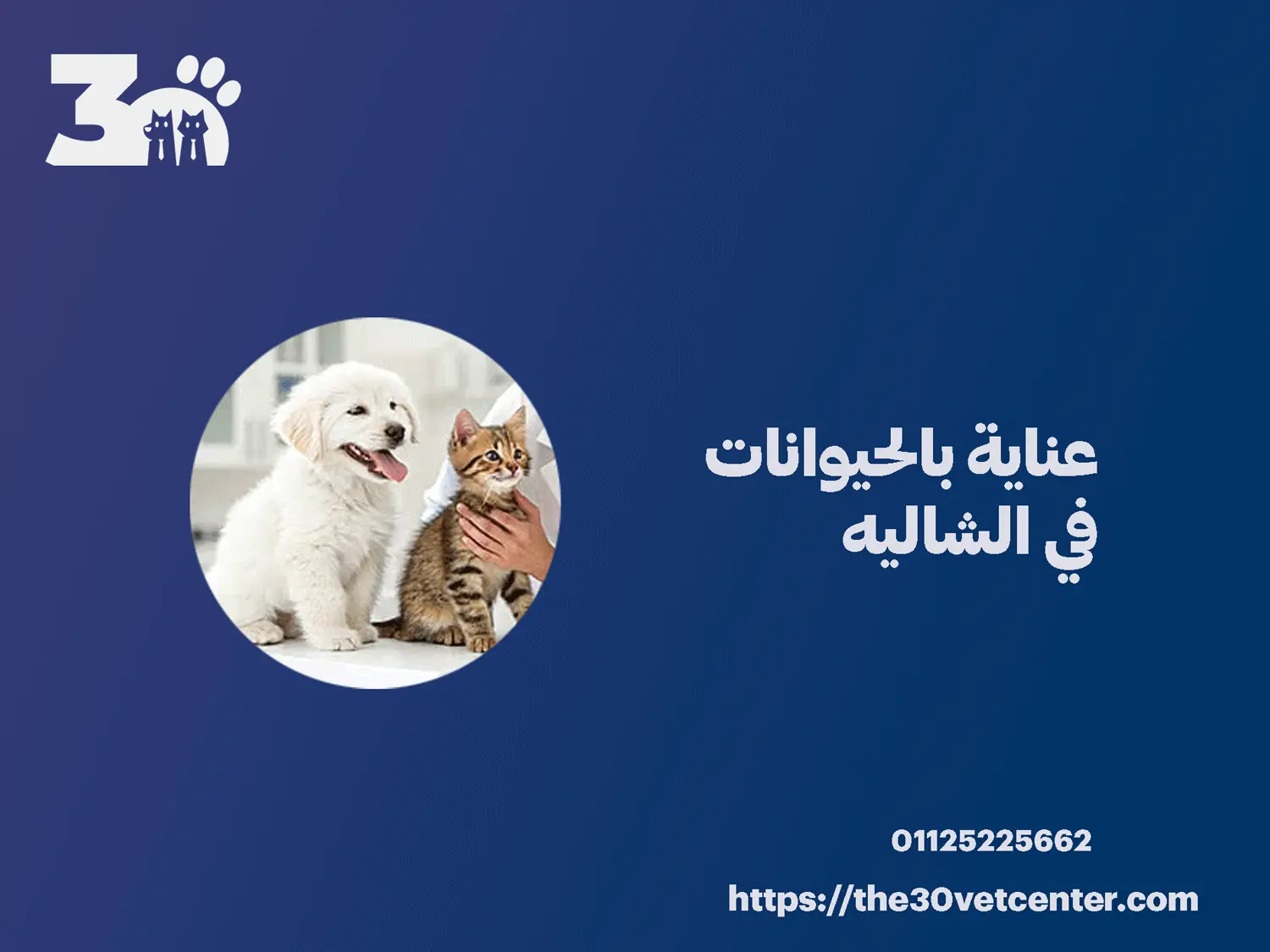 عناية بالحيوانات في الشاليه