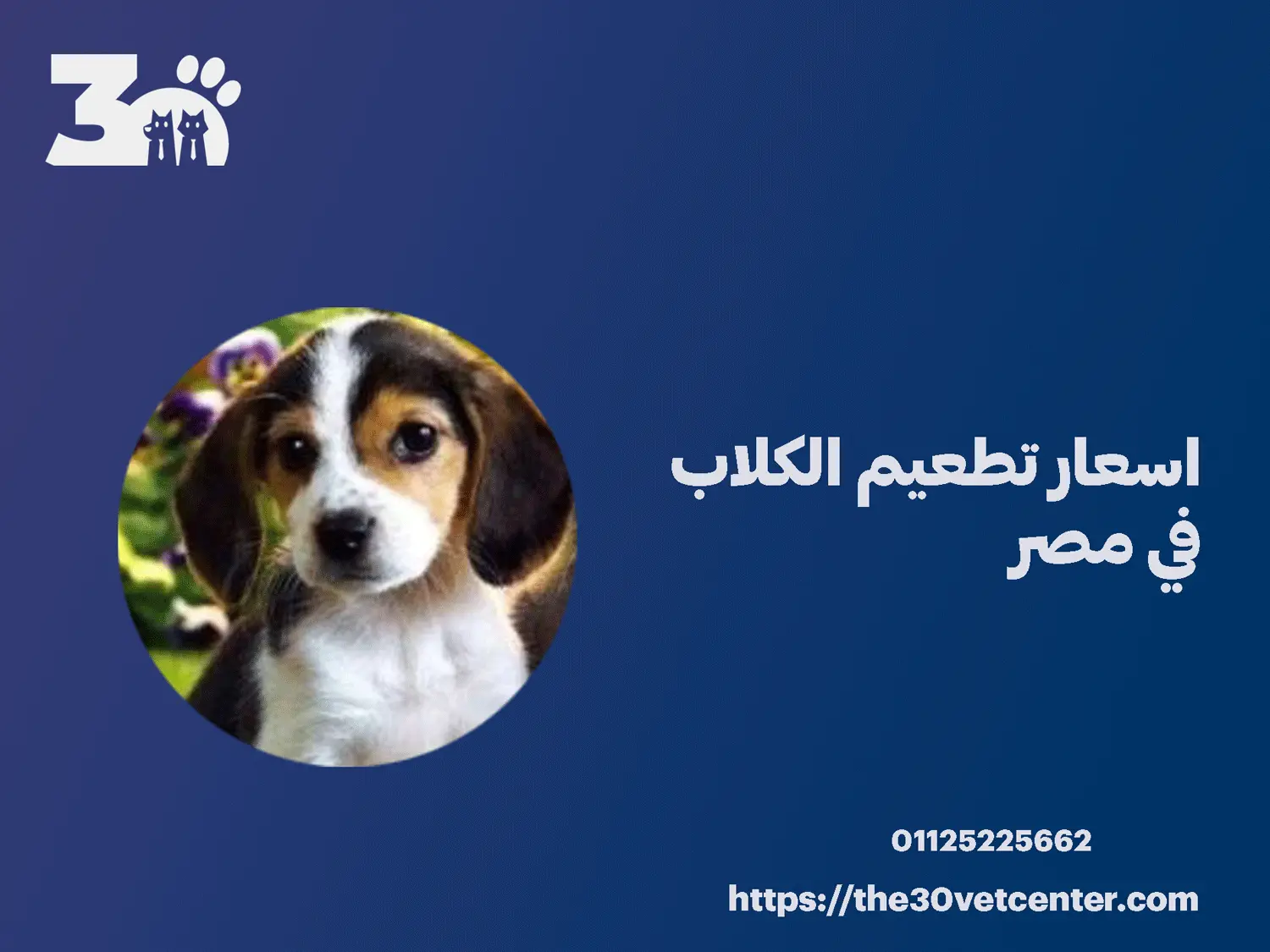 اسعار تطعيم الكلاب في مصر