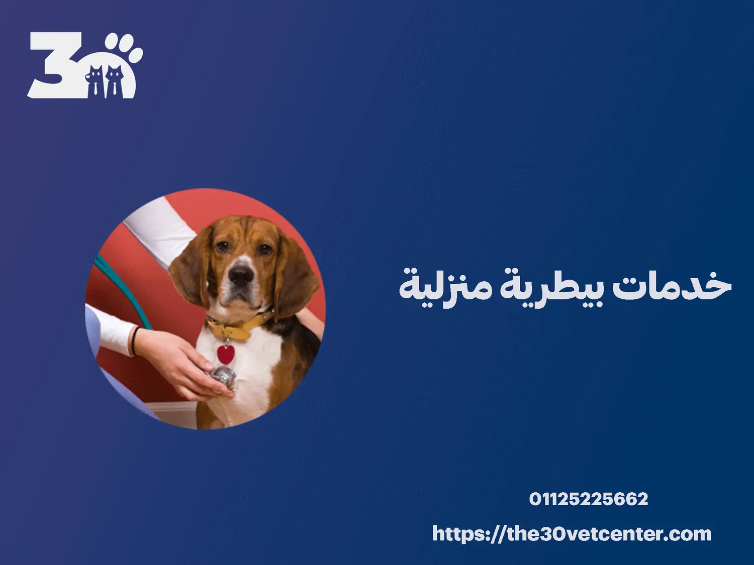 خدمات بيطرية منزلية