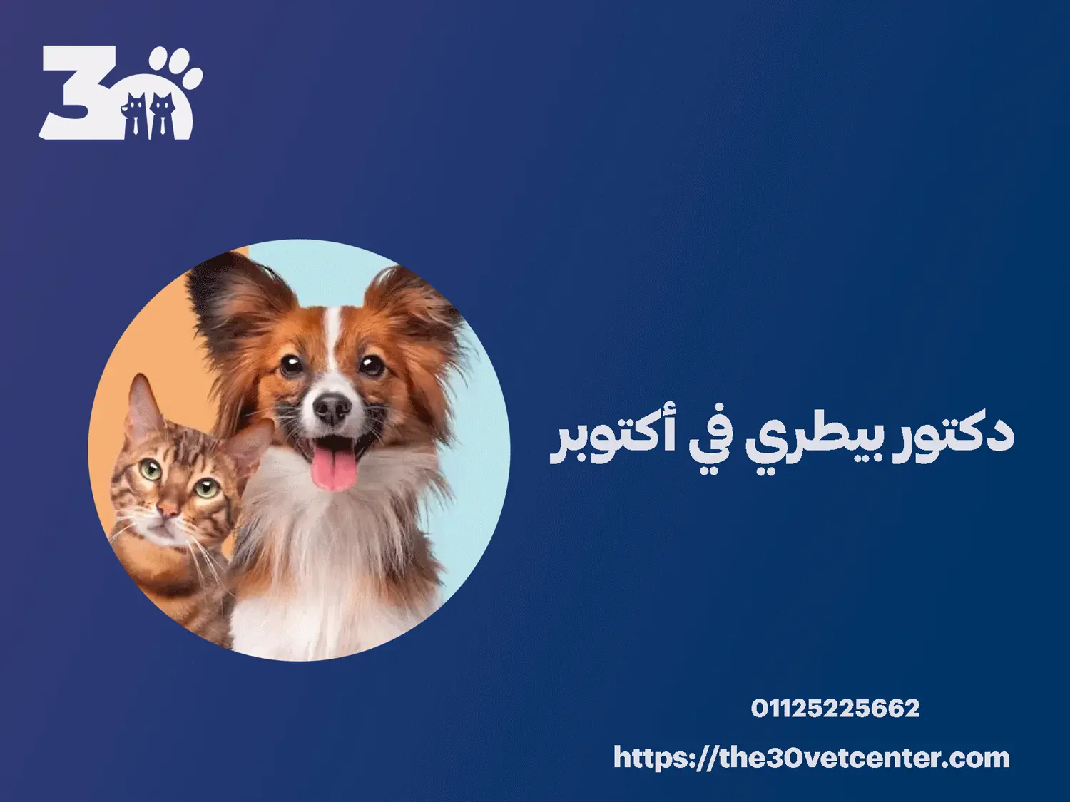 دكتور بيطري في أكتوبر