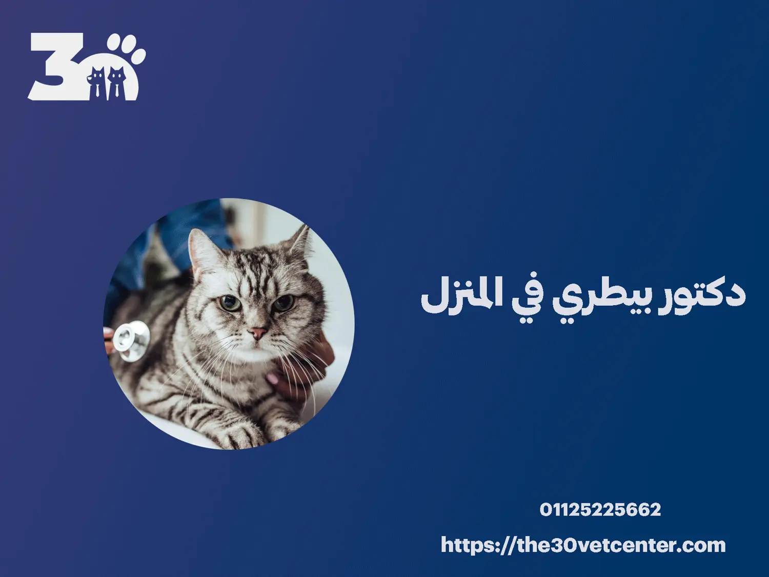 دكتور بيطري في المنزل