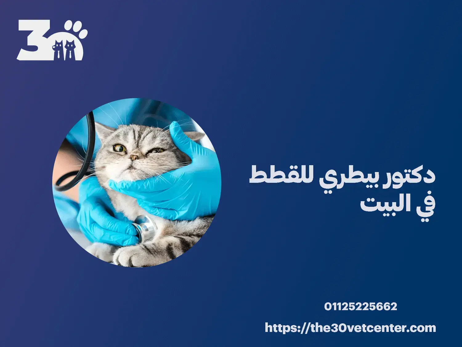 دكتور بيطري للقطط في البيت