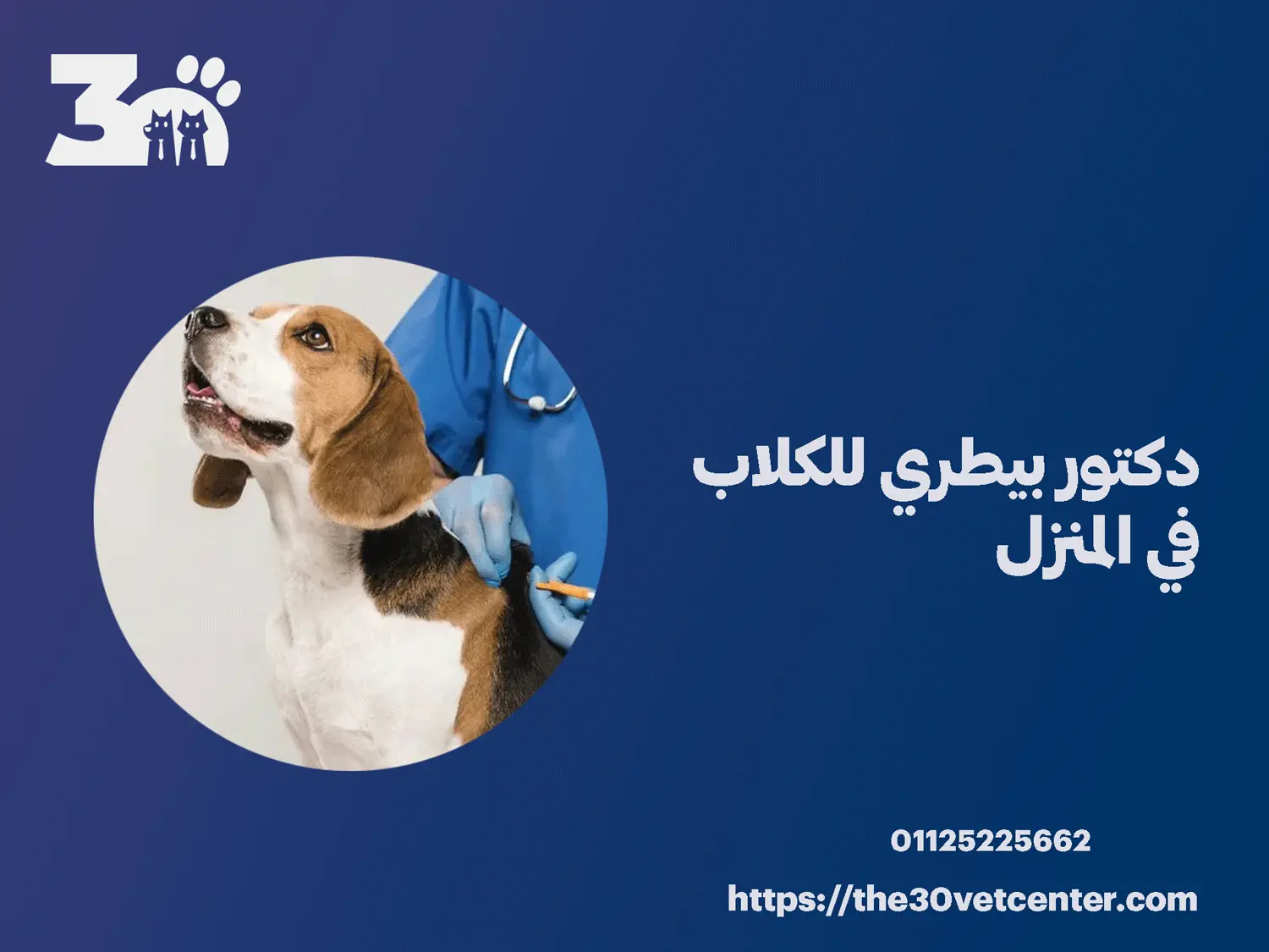 دكتور بيطري للكلاب في المنزل