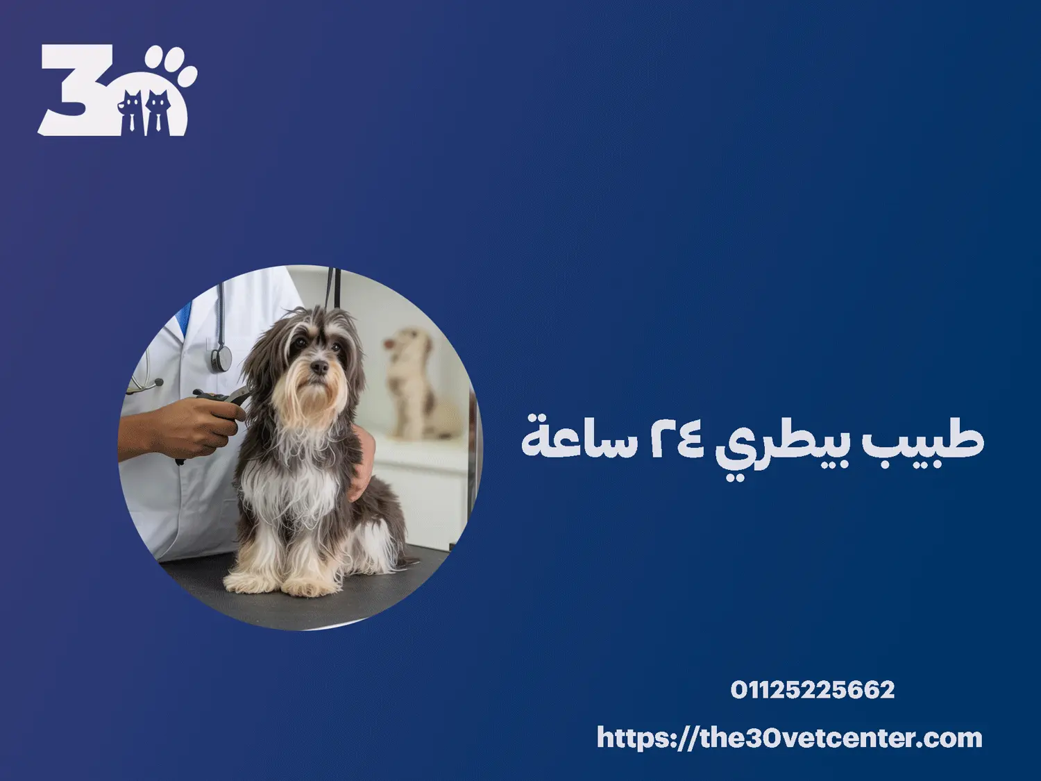 طبيب بيطري 24 ساعة