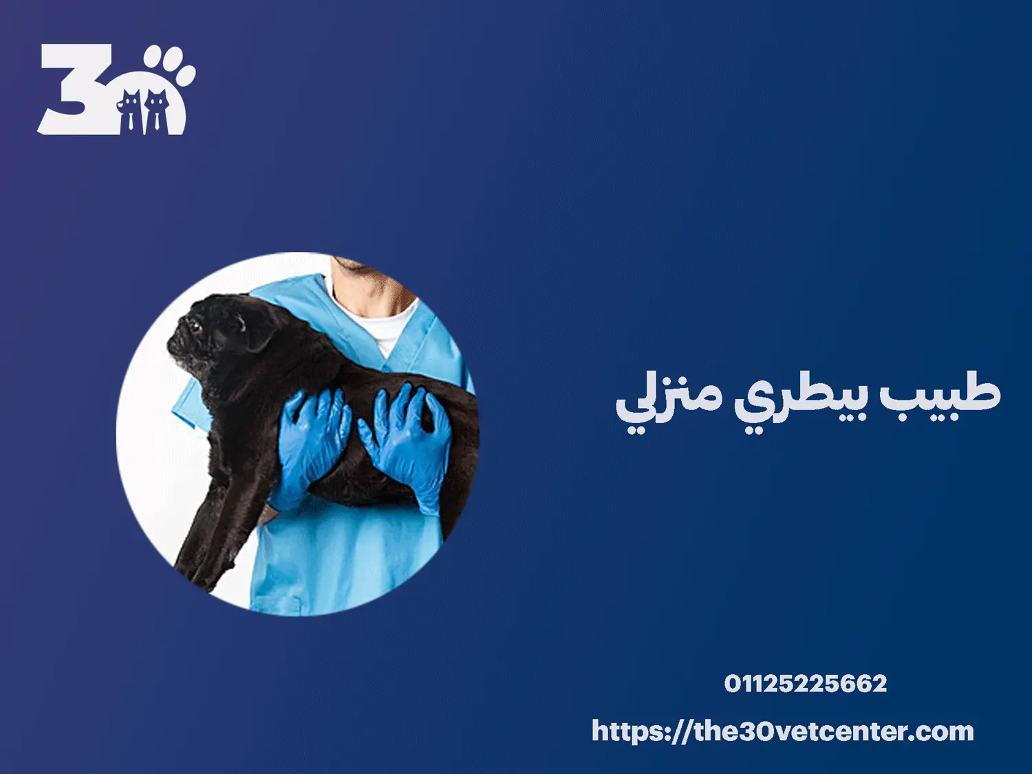 طبيب بيطري منزلي