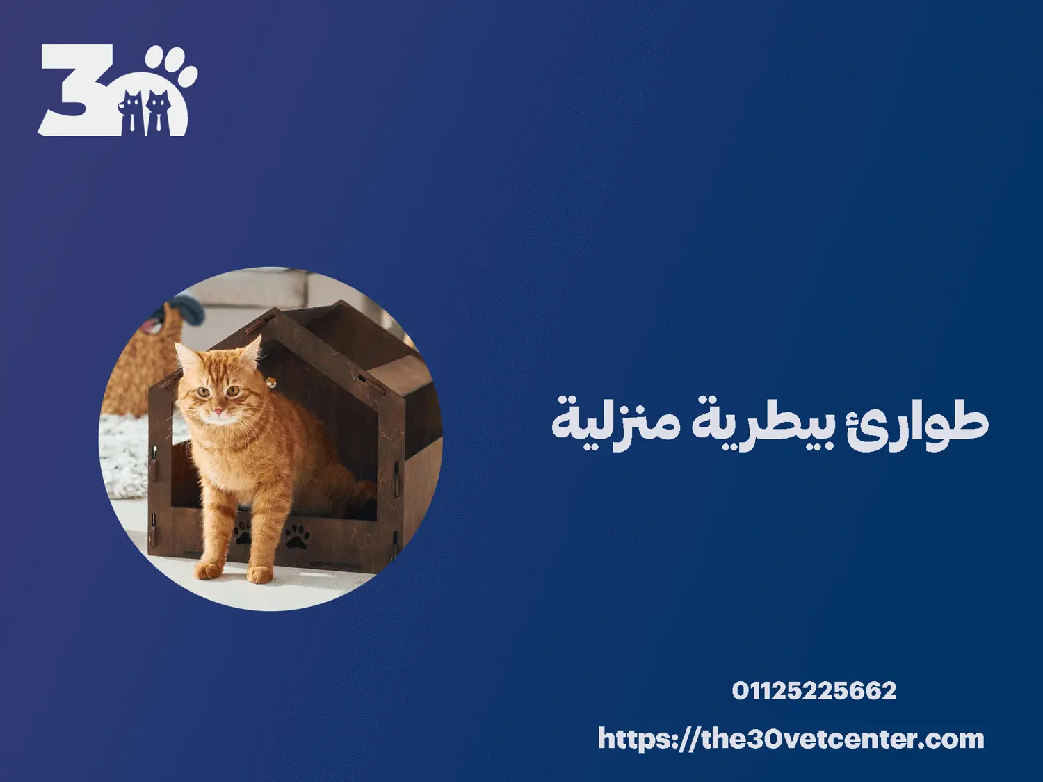 طوارئ بيطرية منزلية