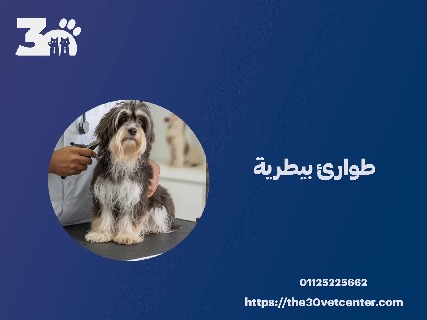 طوارئ بيطرية