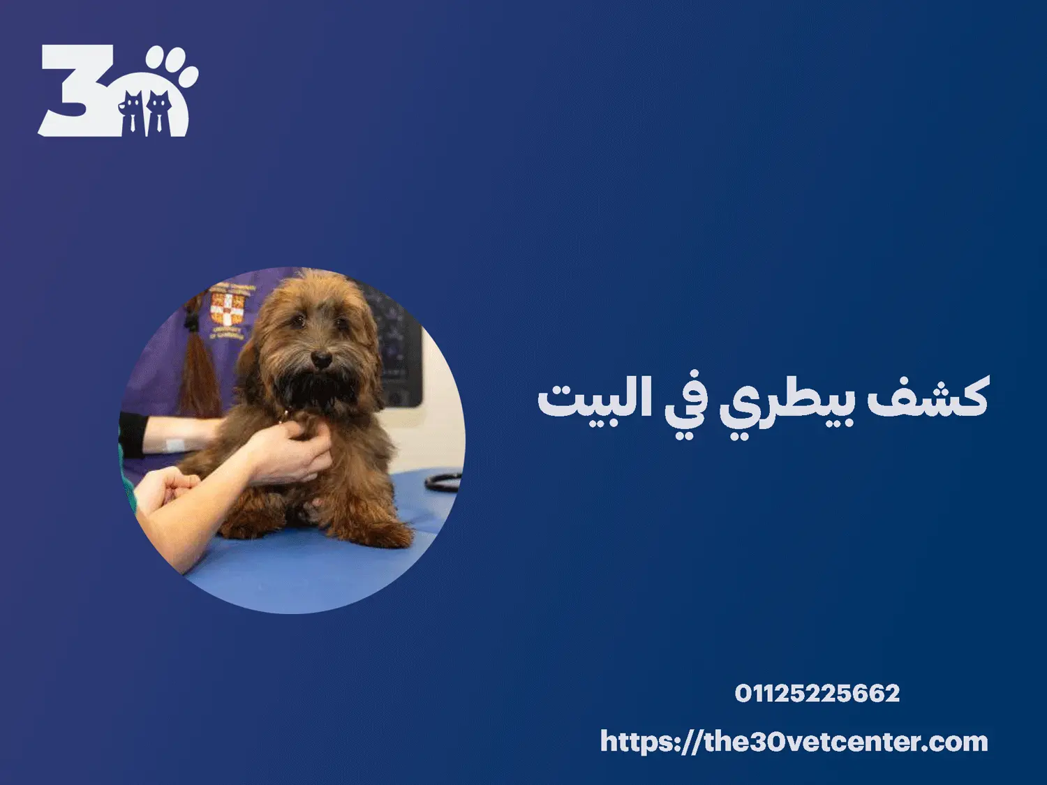 كشف بيطري في البيت