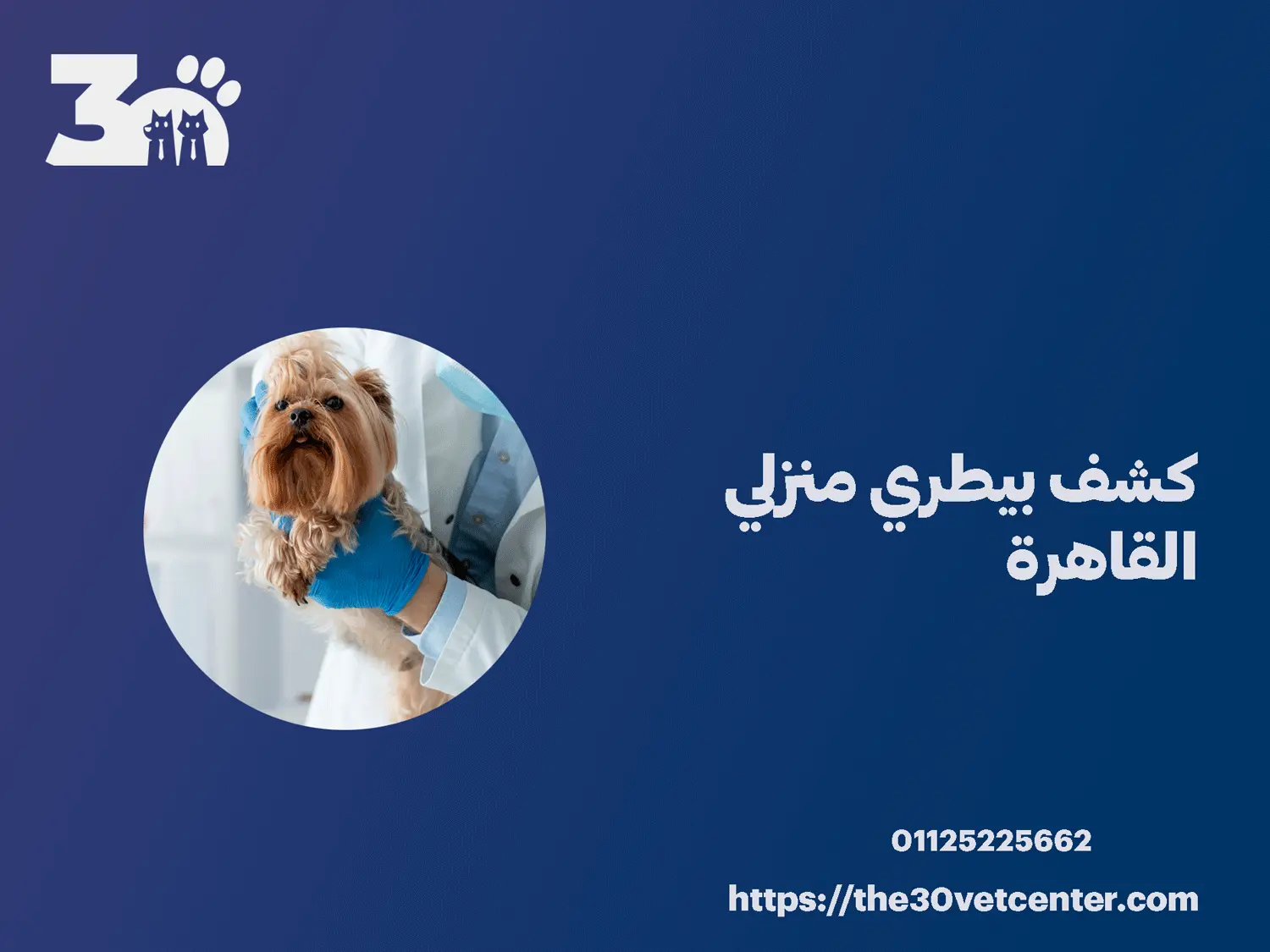 كشف بيطري منزلي القاهرة