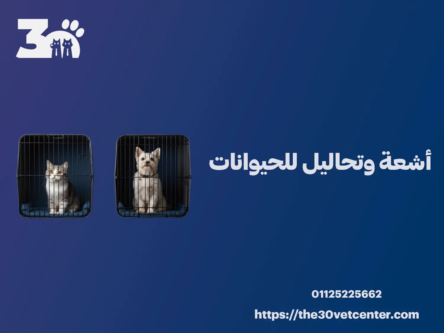 أشعة وتحاليل للحيوانات