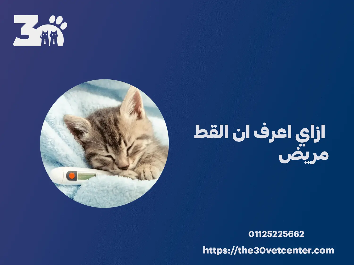 ازاي اعرف ان القط مريض