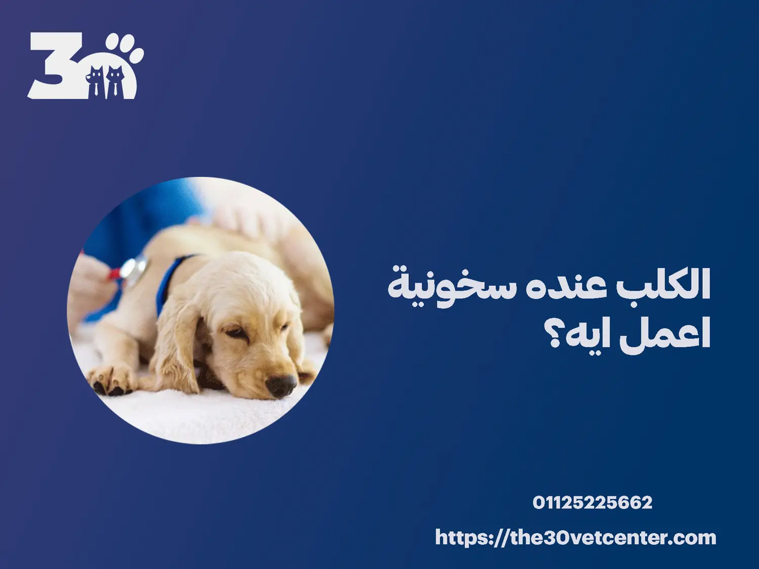 الكلب عنده سخونية اعمل ايه؟