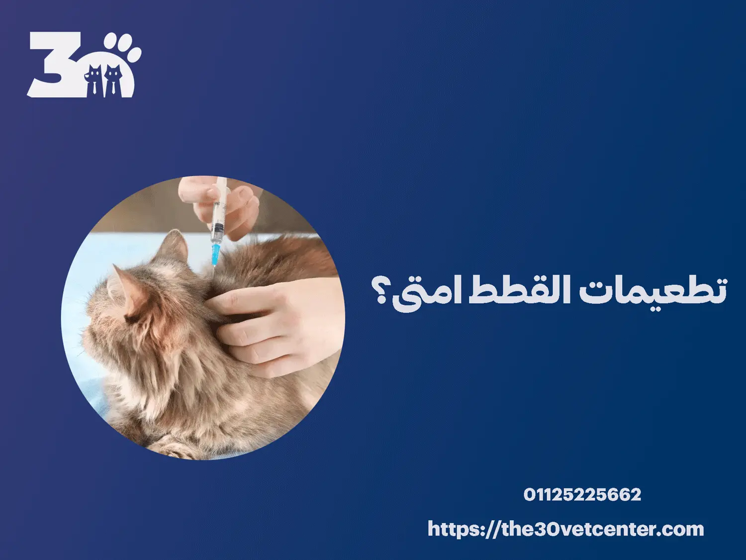 تطعيمات القطط امتى