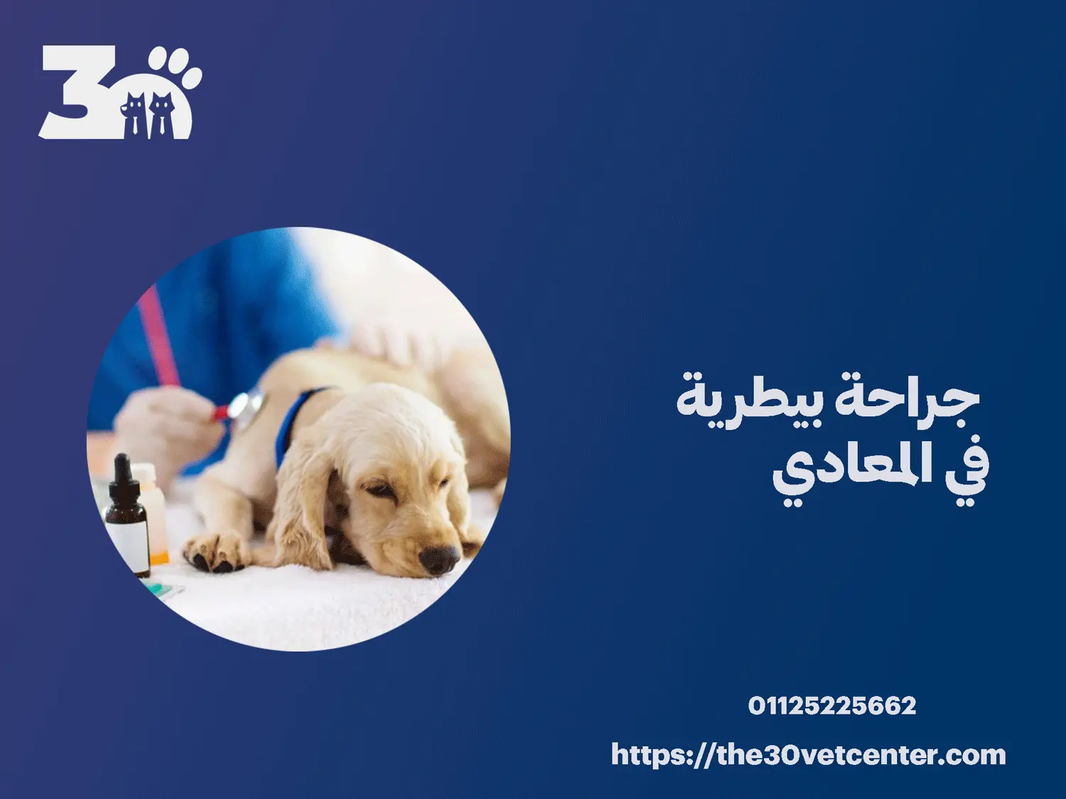 جراحة بيطرية في المعادي