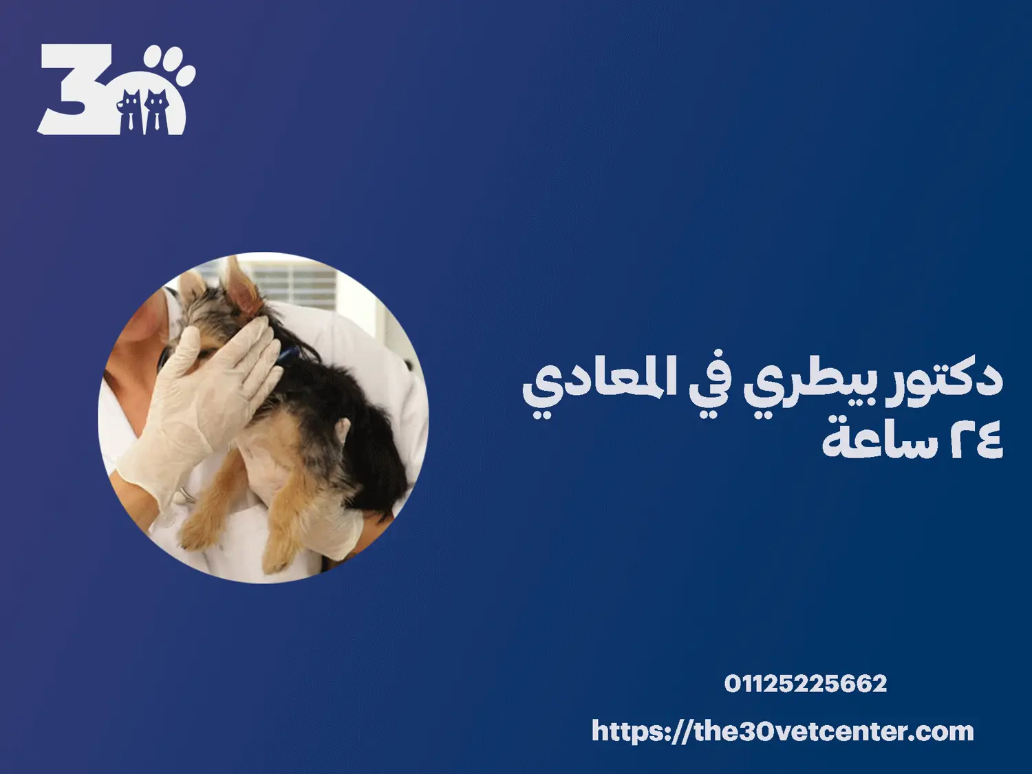 دكتور بيطري في المعادي 24 ساعة