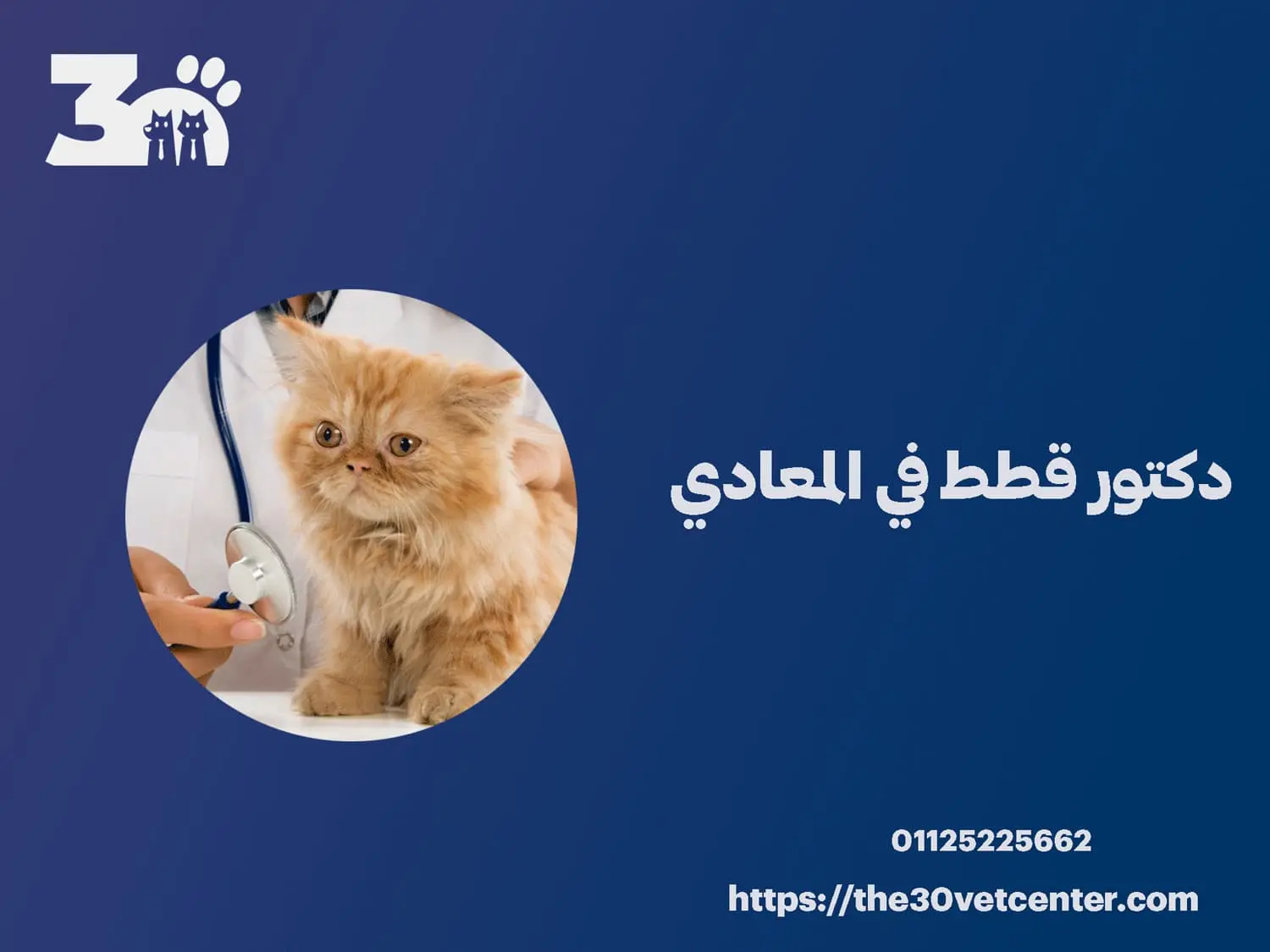 دكتور قطط في المعادي
