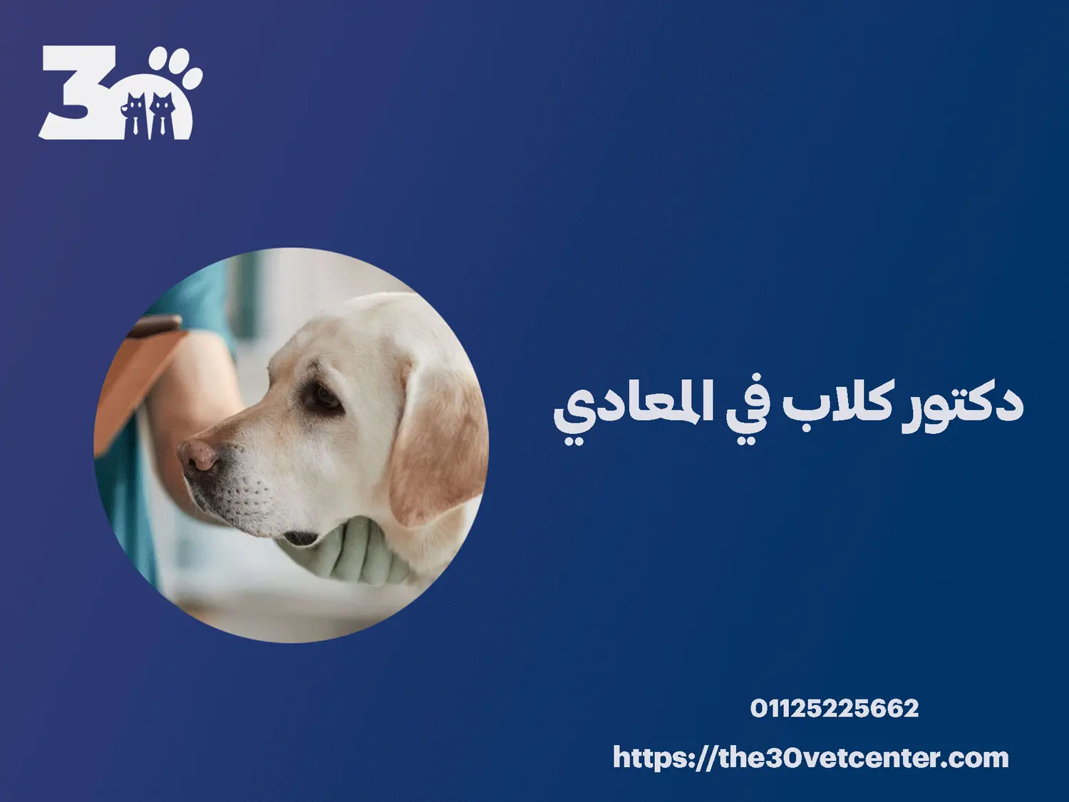 دكتور كلاب في المعادي