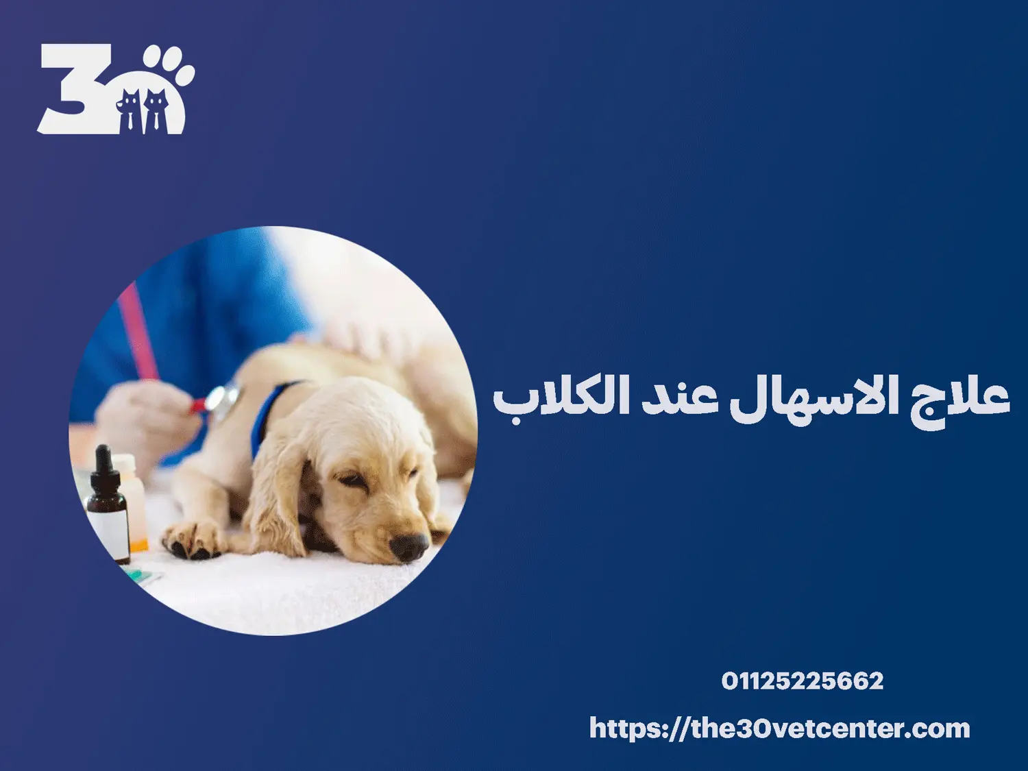 علاج الاسهال عند الكلاب