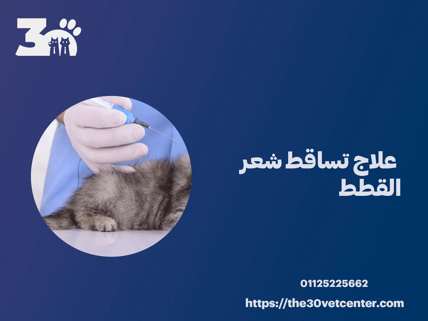 علاج تساقط شعر القطط