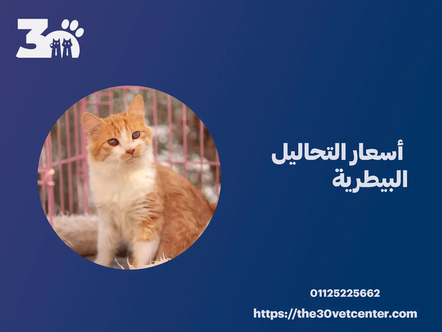 أسعار التحاليل البيطرية