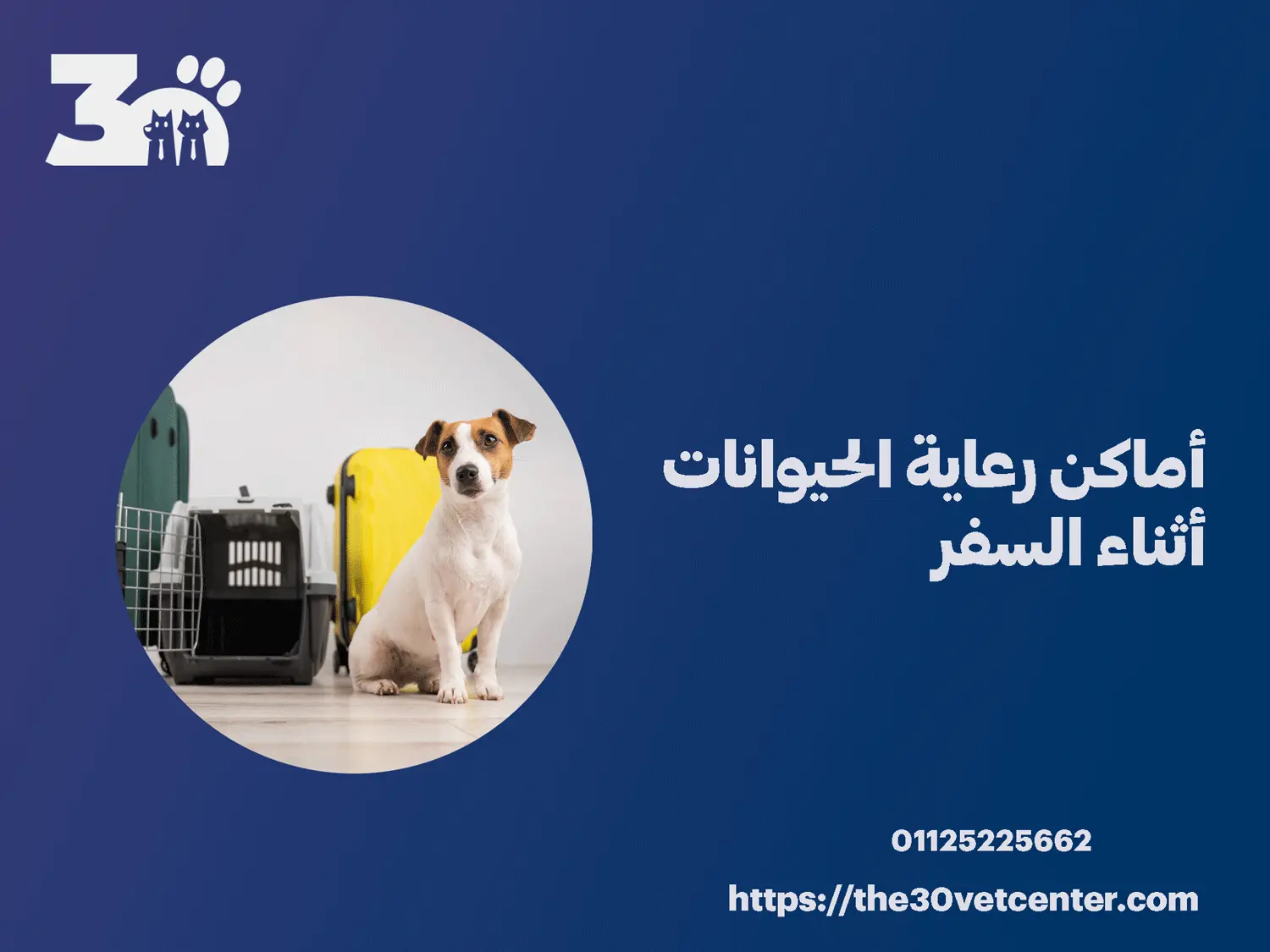 أماكن رعاية الحيوانات أثناء السفر