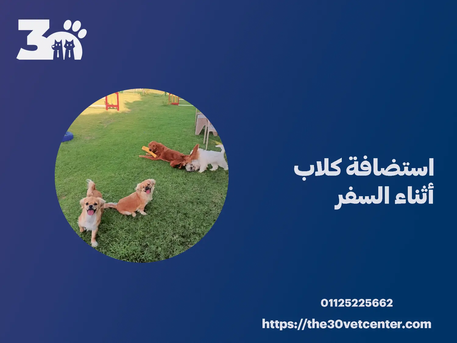 استضافة كلاب أثناء السفر