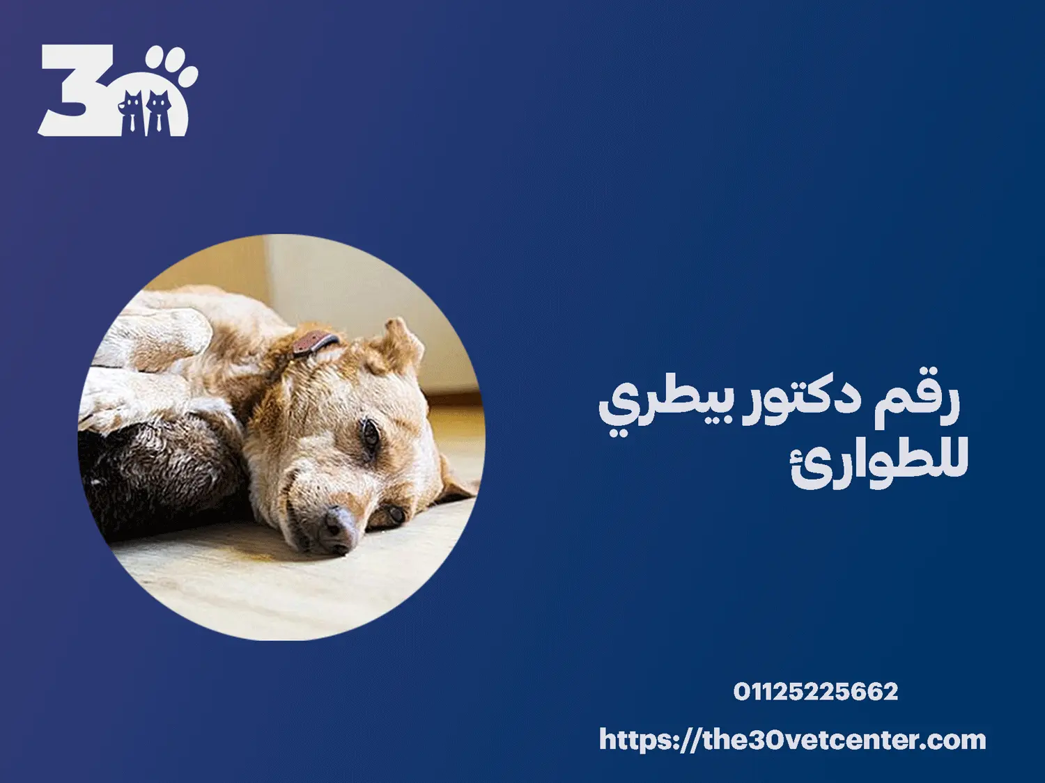 رقم دكتور بيطري للطوارئ