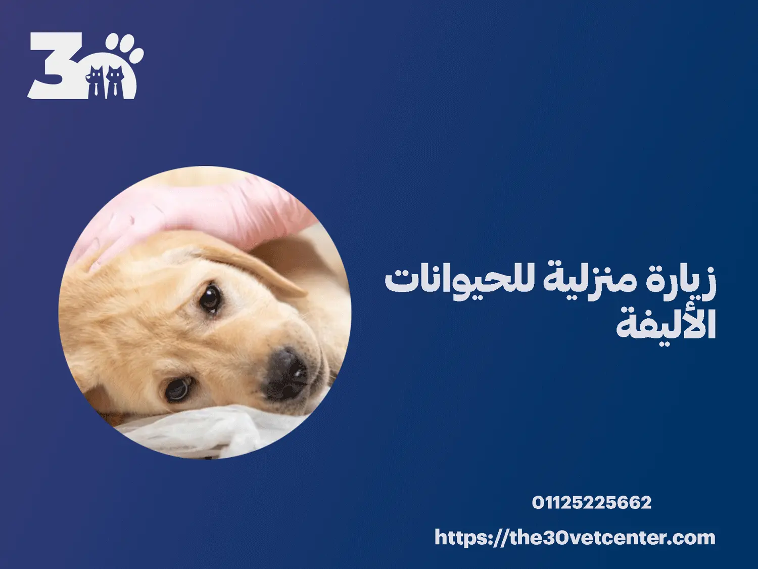 زيارة منزلية للحيوانات الأليفة