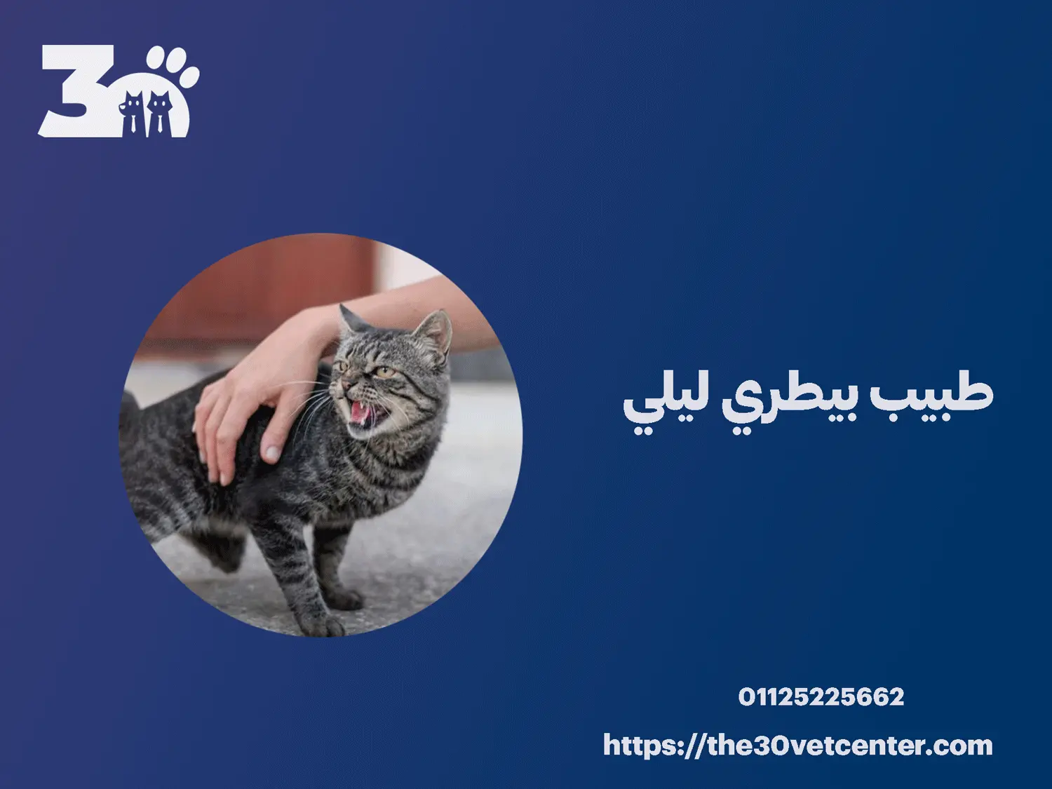طبيب بيطري ليلي