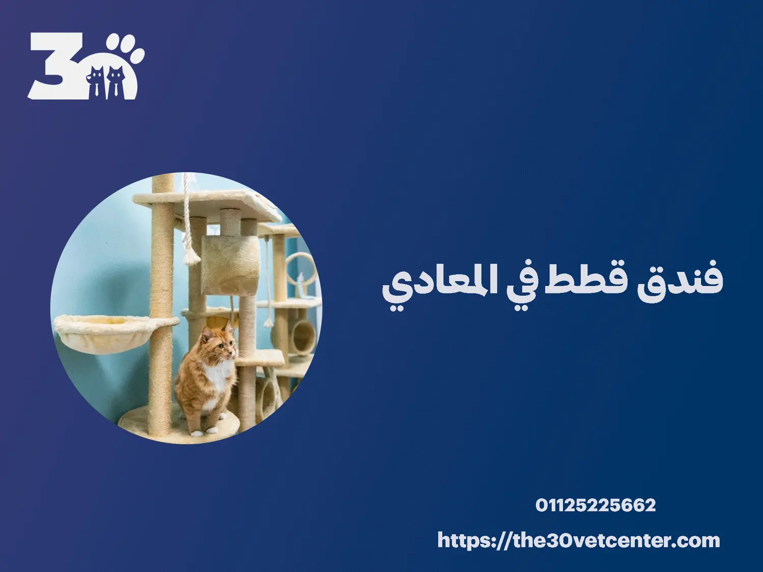 فندق قطط في المعادي