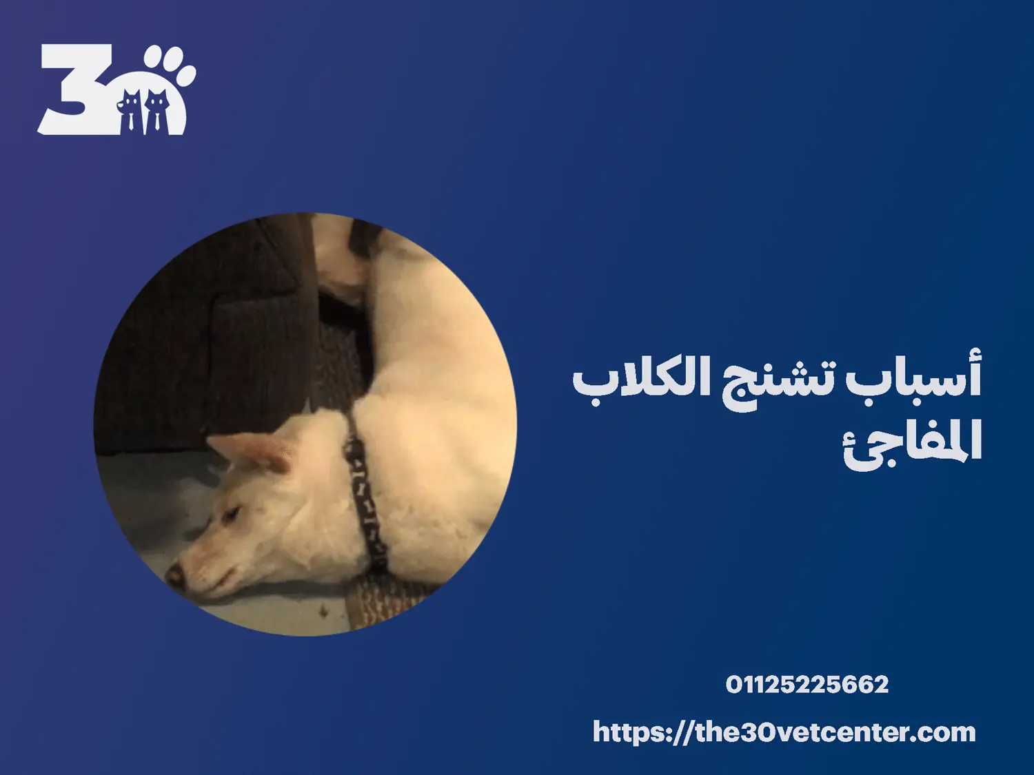 أسباب تشنج الكلاب المفاجئ