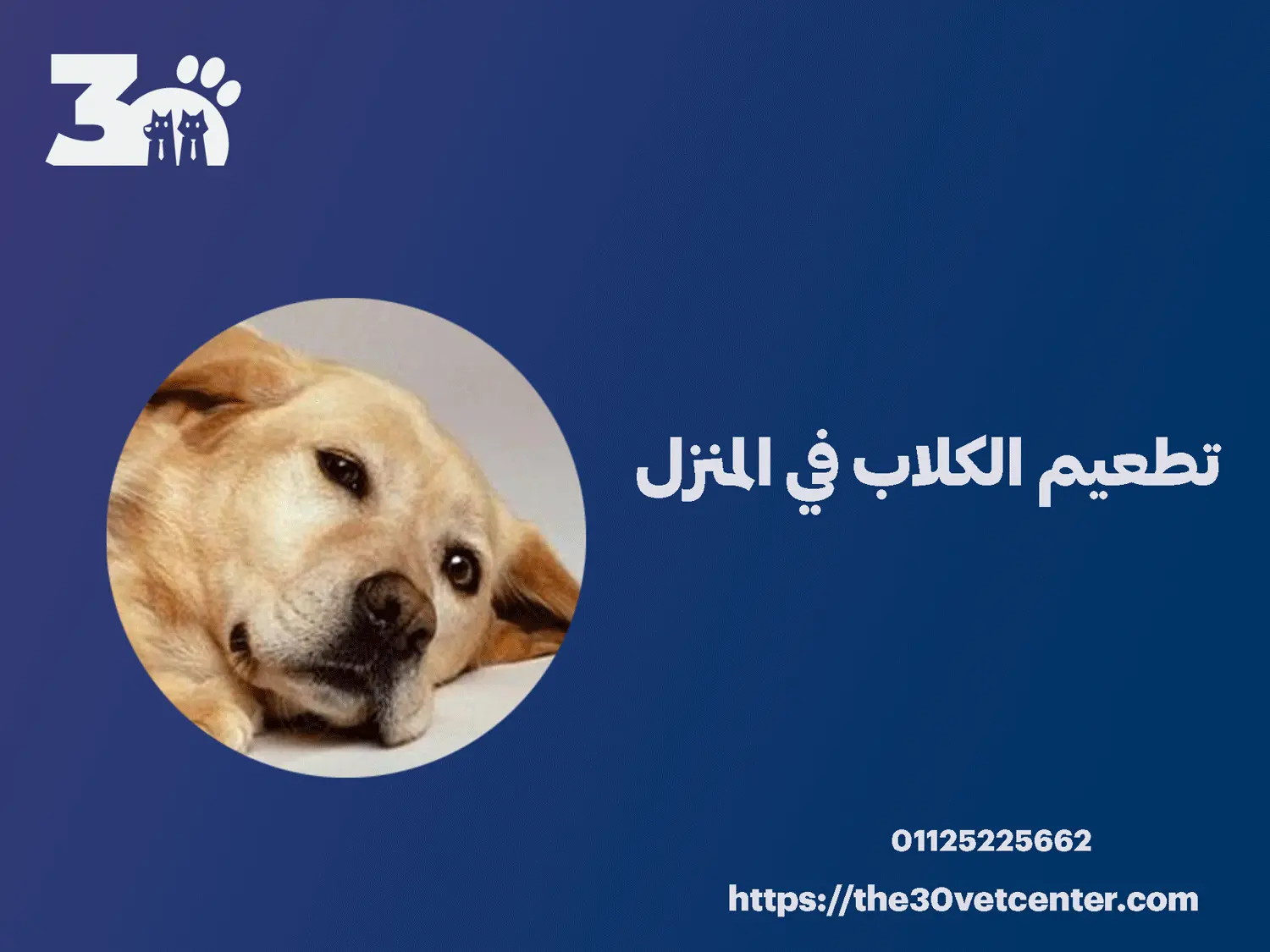 تطعيم الكلاب في المنزل