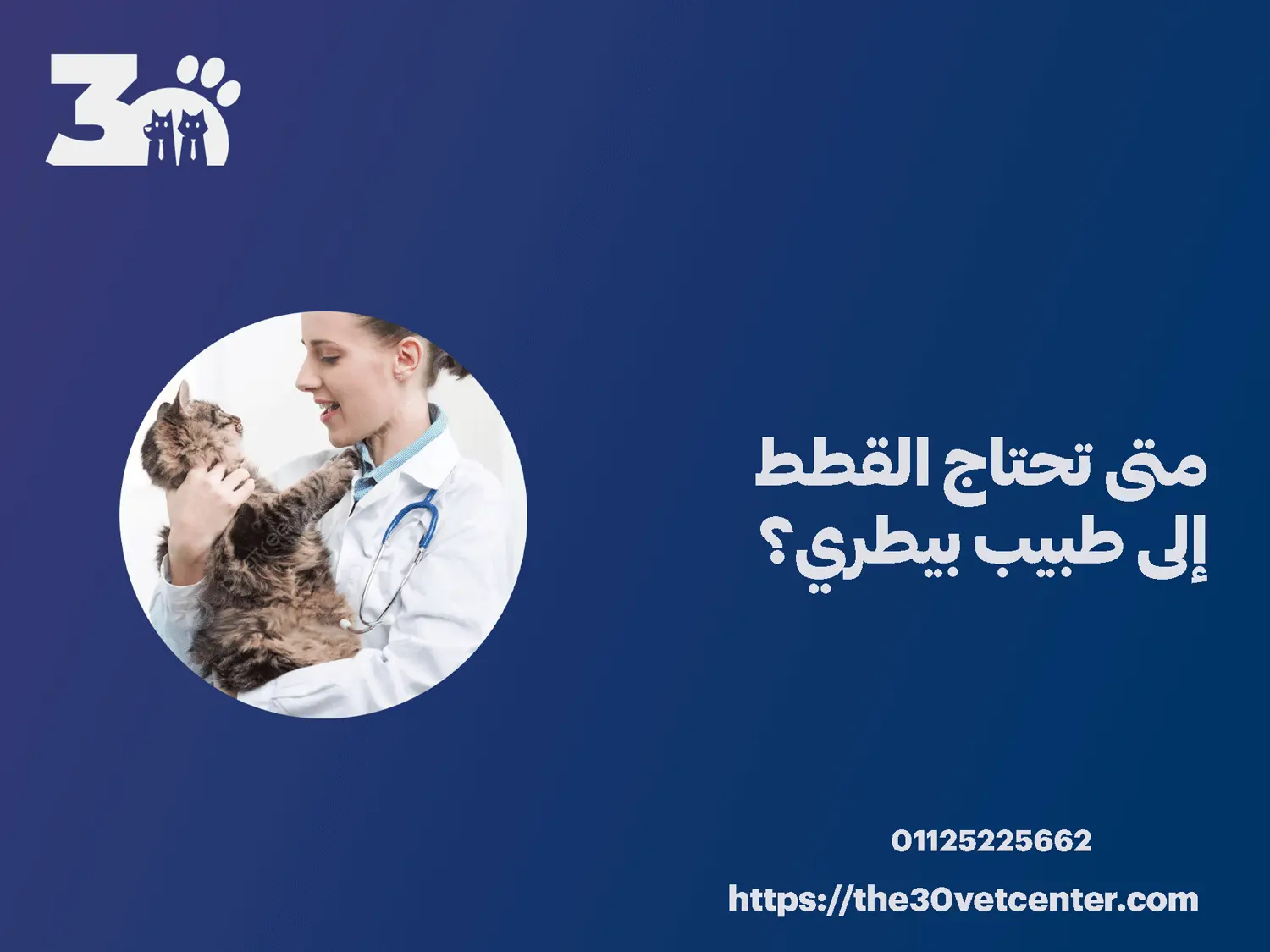 متى تحتاج القطط إلى طبيب بيطري؟