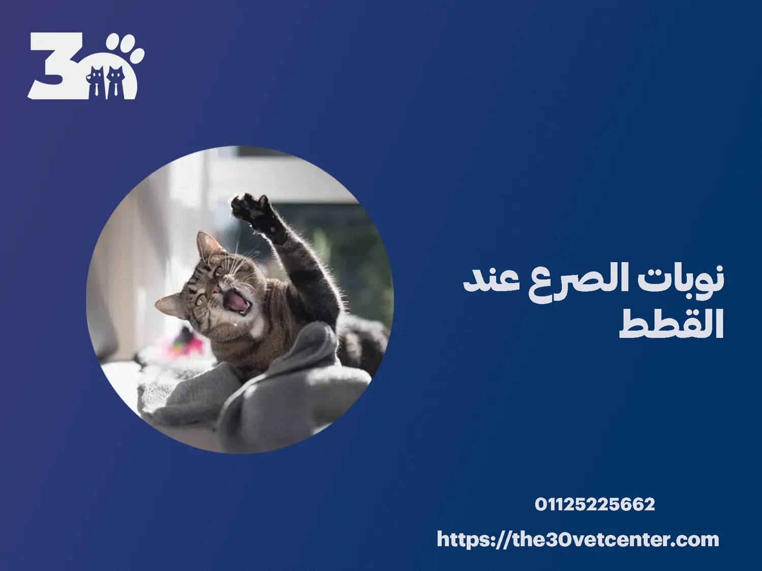 نوبات الصرع عند القطط