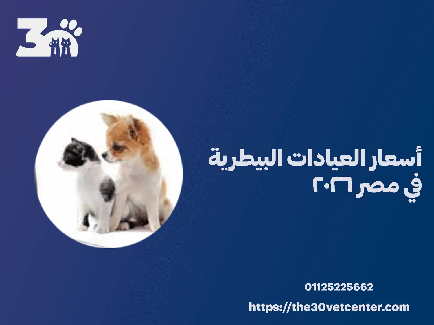 أسعار العيادات البيطرية في مصر 2026