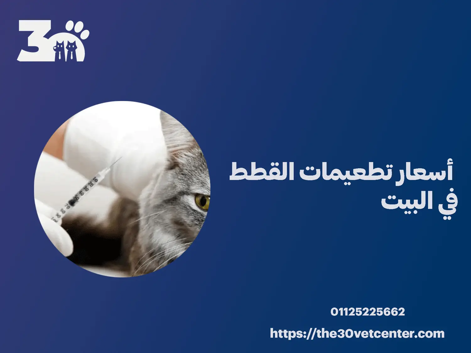 أسعار تطعيمات القطط في البيت