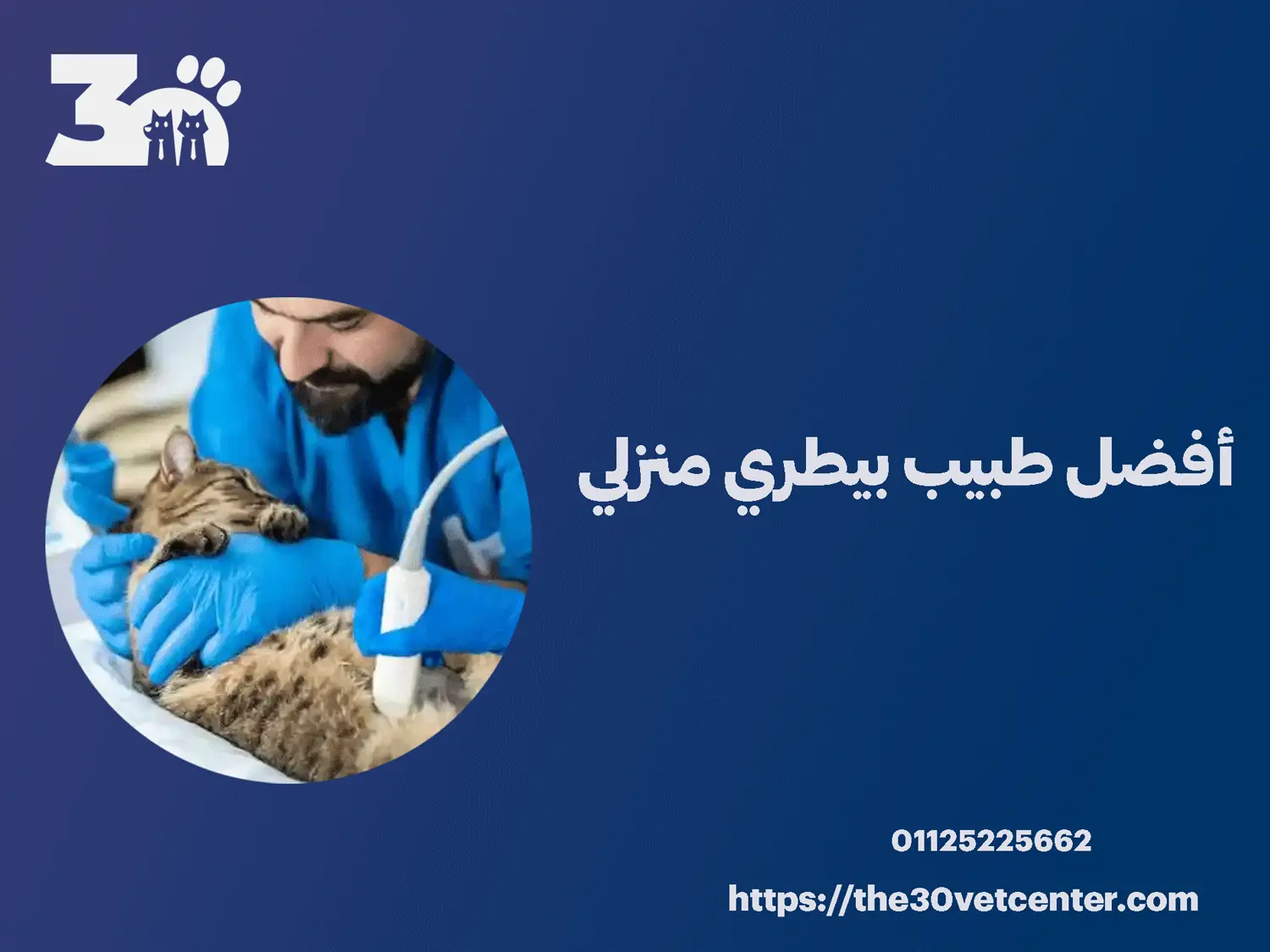 أفضل طبيب بيطري منزلي