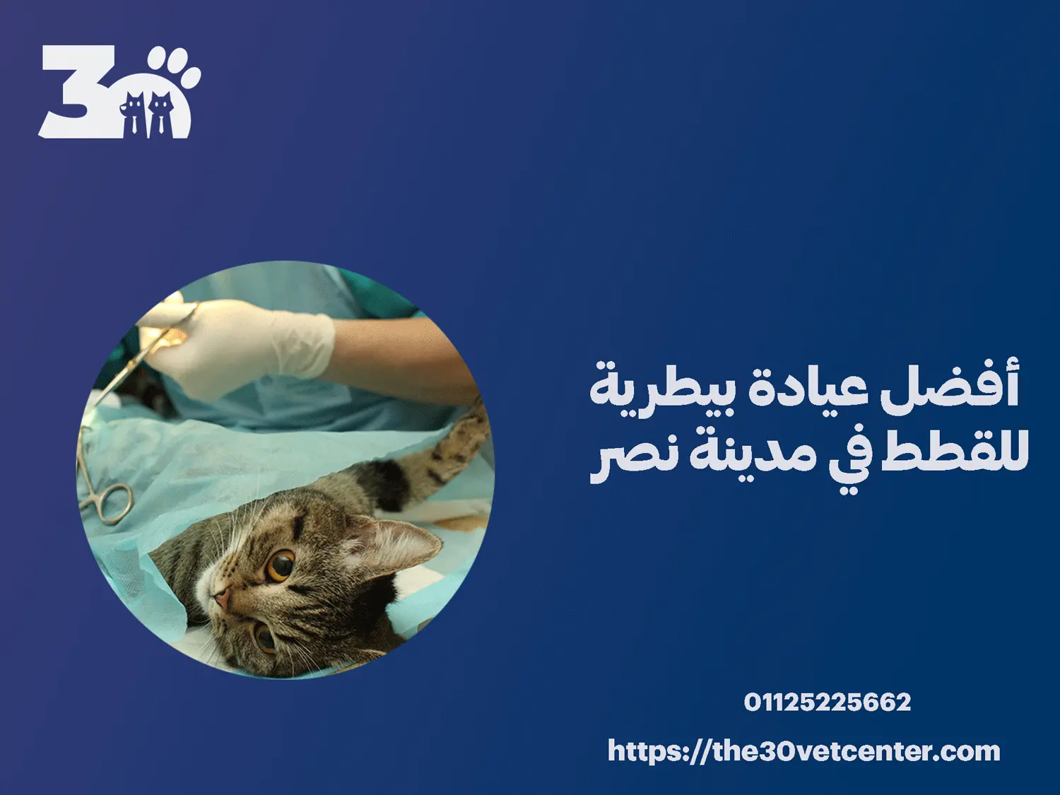 أفضل عيادة بيطرية للقطط في مدينة نصر