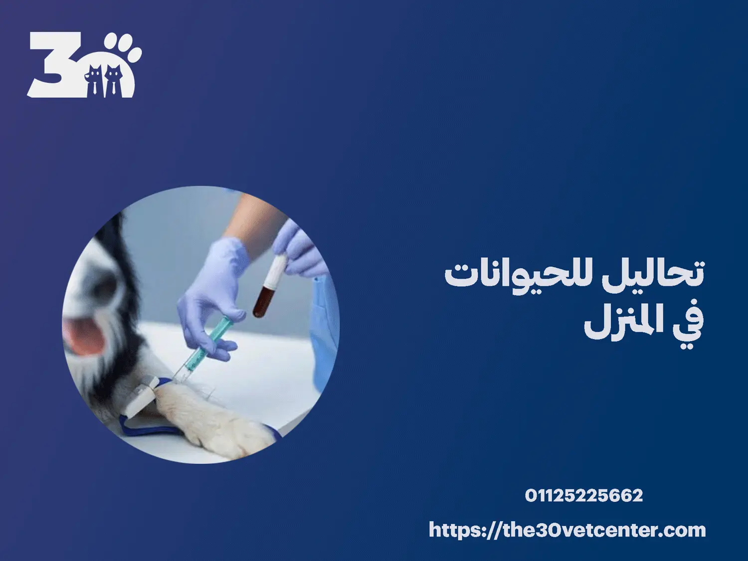 تحاليل للحيوانات في المنزل