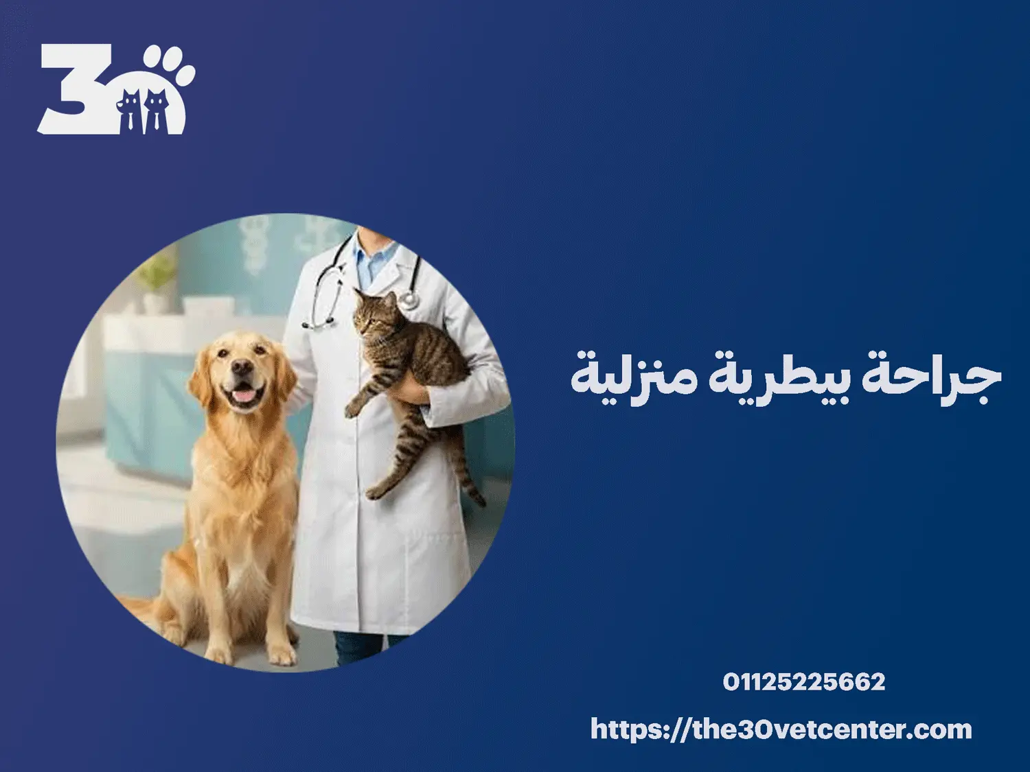 جراحة بيطرية منزلية